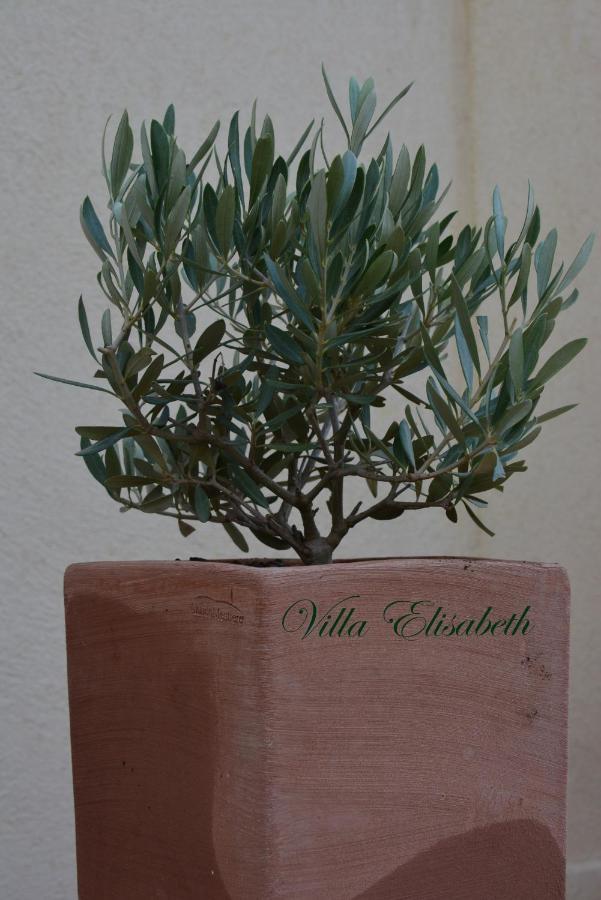 Appartement Elisabeth Aix-en-Provence
